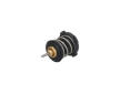 Termostat, chladivo KAMOKA 7710237