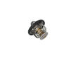 Termostat, chladivo KAMOKA 7710245