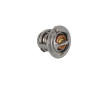 Termostat, chladivo KAMOKA 7710254