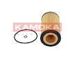 Olejový filtr KAMOKA F102101