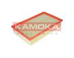 Vzduchový filtr KAMOKA F203701