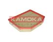 Vzduchový filtr KAMOKA F218601