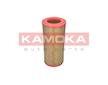 Vzduchový filtr KAMOKA F236101