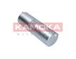 palivovy filtr KAMOKA F317401