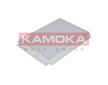 Filtr, vzduch v interiéru KAMOKA F401701