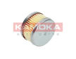 Palivový filter KAMOKA F700501