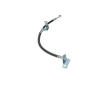 Brzdová hadice KAVO PARTS BBH-3065