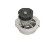 Vodní čerpadlo, chlazení motoru KAVO PARTS DW-1002