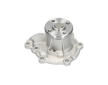 Vodní čerpadlo, chlazení motoru KAVO PARTS DW-1721