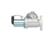 AGR-Ventil KAVO PARTS EEG-3001