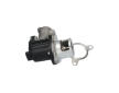 AGR-Ventil KAVO PARTS EEG-3021