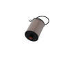 Palivový filter KAVO PARTS FFF-10156