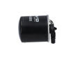 Palivový filter KAVO PARTS FFF-10202