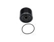 Palivový filter KAVO PARTS FFF-10381