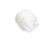 palivovy filtr KAVO PARTS NF-2464