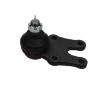 Zvislý/nosný čap KAVO PARTS SBJ-1503