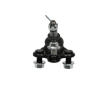 Podpora-/ Kloub KAVO PARTS SBJ-2031