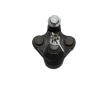 Podpora-/ Kloub KAVO PARTS SBJ-2031