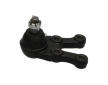 Zvislý/nosný čap KAVO PARTS SBJ-3022