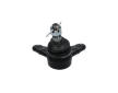 Podpora-/ Kloub KAVO PARTS SBJ-3506