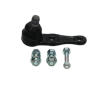 Zvislý/nosný čap KAVO PARTS SBJ-4004