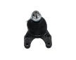 Podpora-/ Kloub KAVO PARTS SBJ-4013