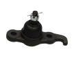 Zvislý/nosný čap KAVO PARTS SBJ-4018