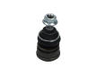 Podpora-/ Kloub KAVO PARTS SBJ-4536