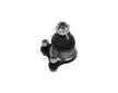 Zvislý/nosný čap KAVO PARTS SBJ-5508