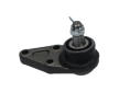 Podpora-/ Kloub KAVO PARTS SBJ-5519