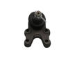 Zvislý/nosný čap KAVO PARTS SBJ-6521
