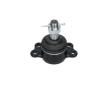 Podpora-/ Kloub KAVO PARTS SBJ-7504