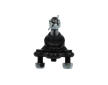 Zvislý/nosný čap KAVO PARTS SBJ-9003
