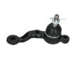 Zvislý/nosný čap KAVO PARTS SBJ-9042