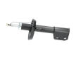 Tlmič pérovania KAVO PARTS SSA-10176