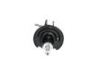 Tlmič pérovania KAVO PARTS SSA-10179
