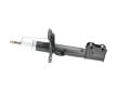 Tlmič pérovania KAVO PARTS SSA-10359