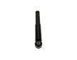 Tlumič pérování KAVO PARTS SSA-10649