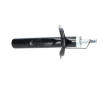 Tlmič pérovania KAVO PARTS SSA-10812