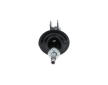 Tlumič pérování KAVO PARTS SSA-11328