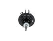 Tlmič pérovania KAVO PARTS SSA-11374