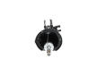 Tlmič pérovania KAVO PARTS SSA-3038