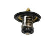 Termostat chladenia KAVO PARTS TH-2004
