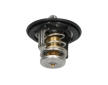 Termostat, chladivo KAVO PARTS TH-2010