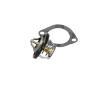 Termostat chladenia KAVO PARTS TH-4502