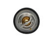 Termostat, chladivo KAVO PARTS TH-9009