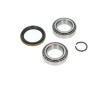 Lożisko kolesa - opravná sada KAVO PARTS WBK-5502