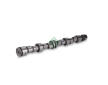 Vačkový hřídel Schaeffler INA 428 0096 10