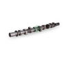 Vačkový hřídel Schaeffler INA 428 0198 10