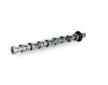 Vačkový hřídel Schaeffler INA 428 0205 10
